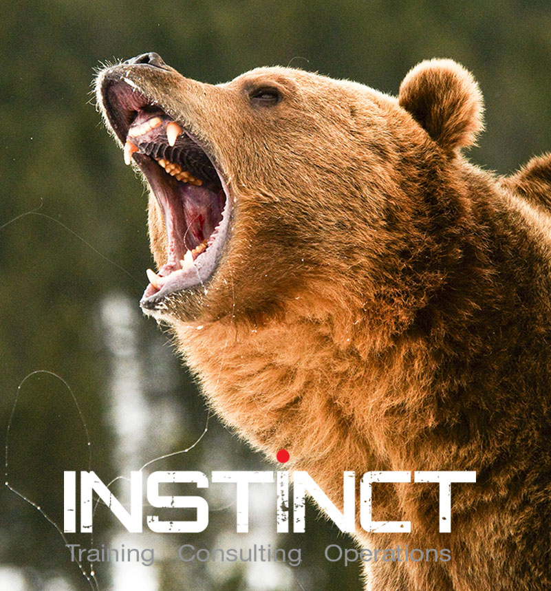 GrizzlyBear_feature1